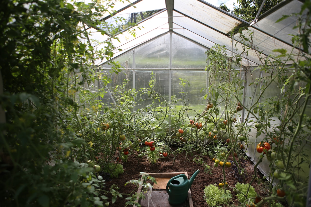 Sustainability background